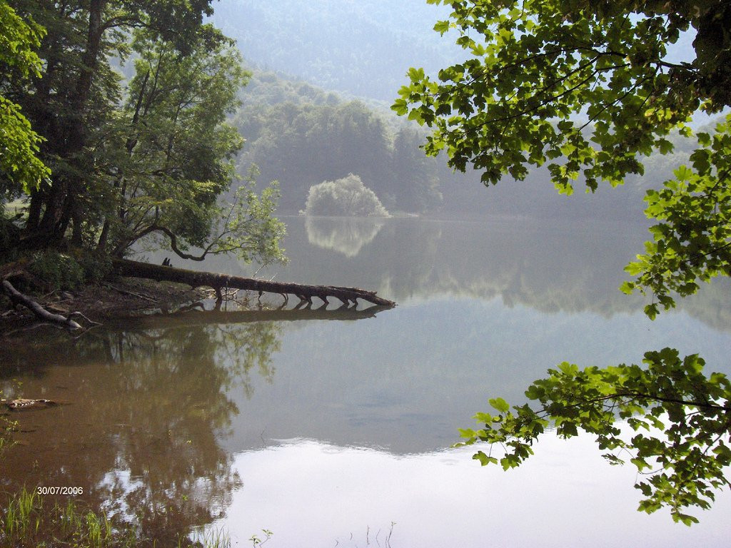 Озеро в Национальном парке, Черногория. Фото 21 – фотографии Черногории
