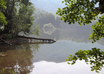 Озеро в Национальном парке, Черногория. Фото 21 – фотографии Черногории