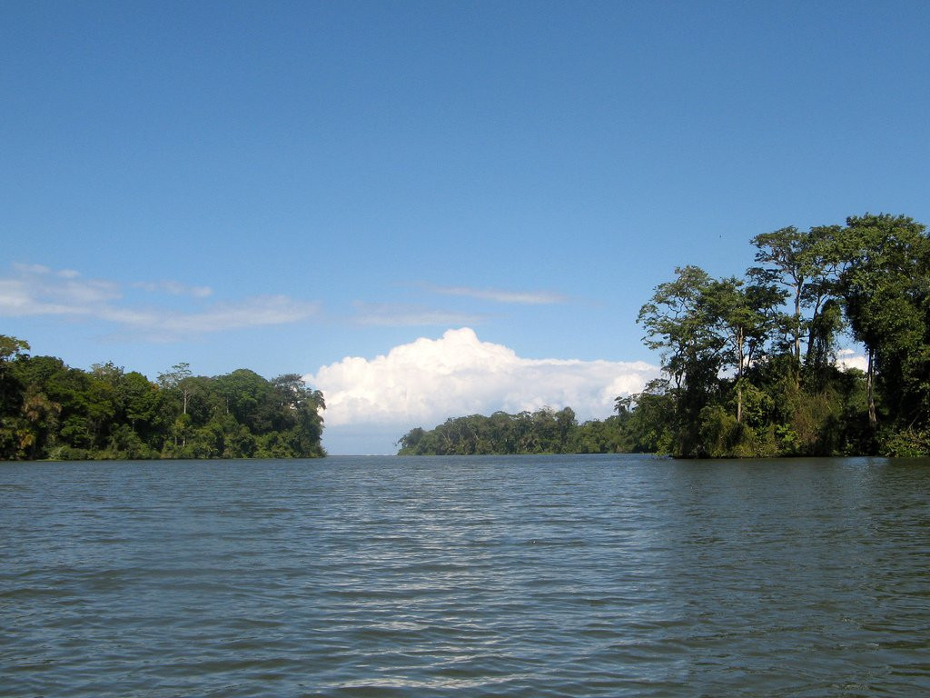 Тортугеро Национальный парк, Лимон провинция, Коста-Рика, фото № 40339 – фотографии Коста-Рики