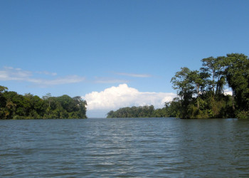 Тортугеро Национальный парк, Лимон провинция, Коста-Рика, фото № 40339 – фотографии Коста-Рики