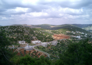 Аджлун, Иордания, фото № 35942 – фотографии Иордании