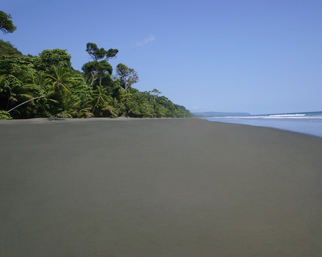 Корковадо Национальный Парк, Пунтаренас провинция, Коста-Рика, фото № 40510 – фотографии Коста-Рики