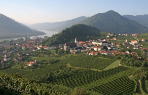 Городок Шпиц (Spitz) – фотографии Австрии