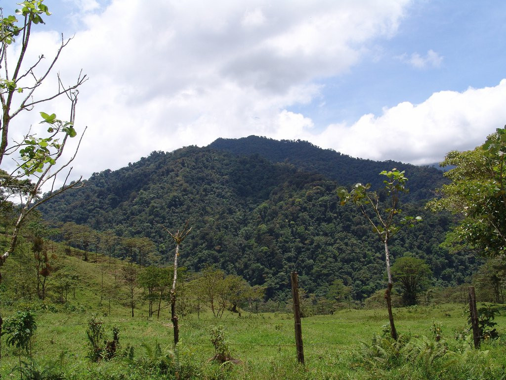 Ороси, Картаго провинция, Коста-Рика, фото № 39195 – фотографии Коста-Рики