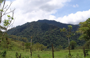 Ороси, Картаго провинция, Коста-Рика, фото № 39195 – фотографии Коста-Рики