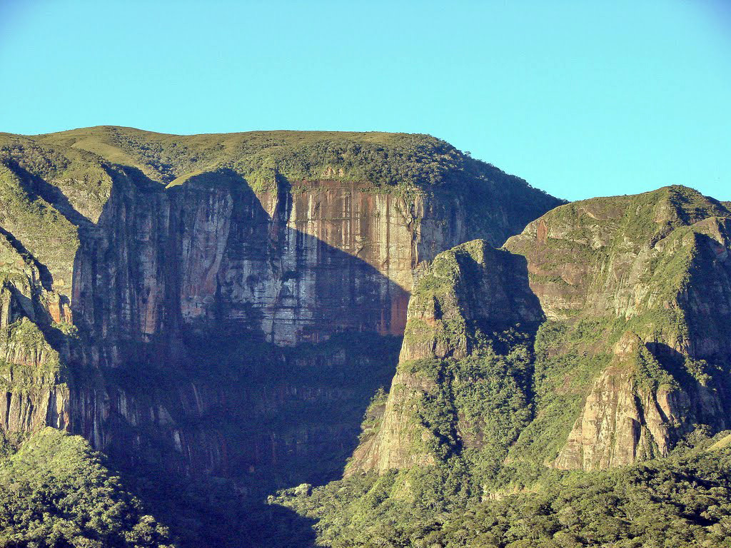 Национальный парк Амборо в Боливии – фотографии Боливии