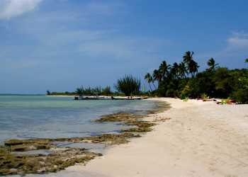 Пляж на острове Андрос, Багамские острова. Фото 8 – фотографии Багамских островов