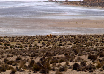 Салинас и Агуада-Бланка – фотографии Перу