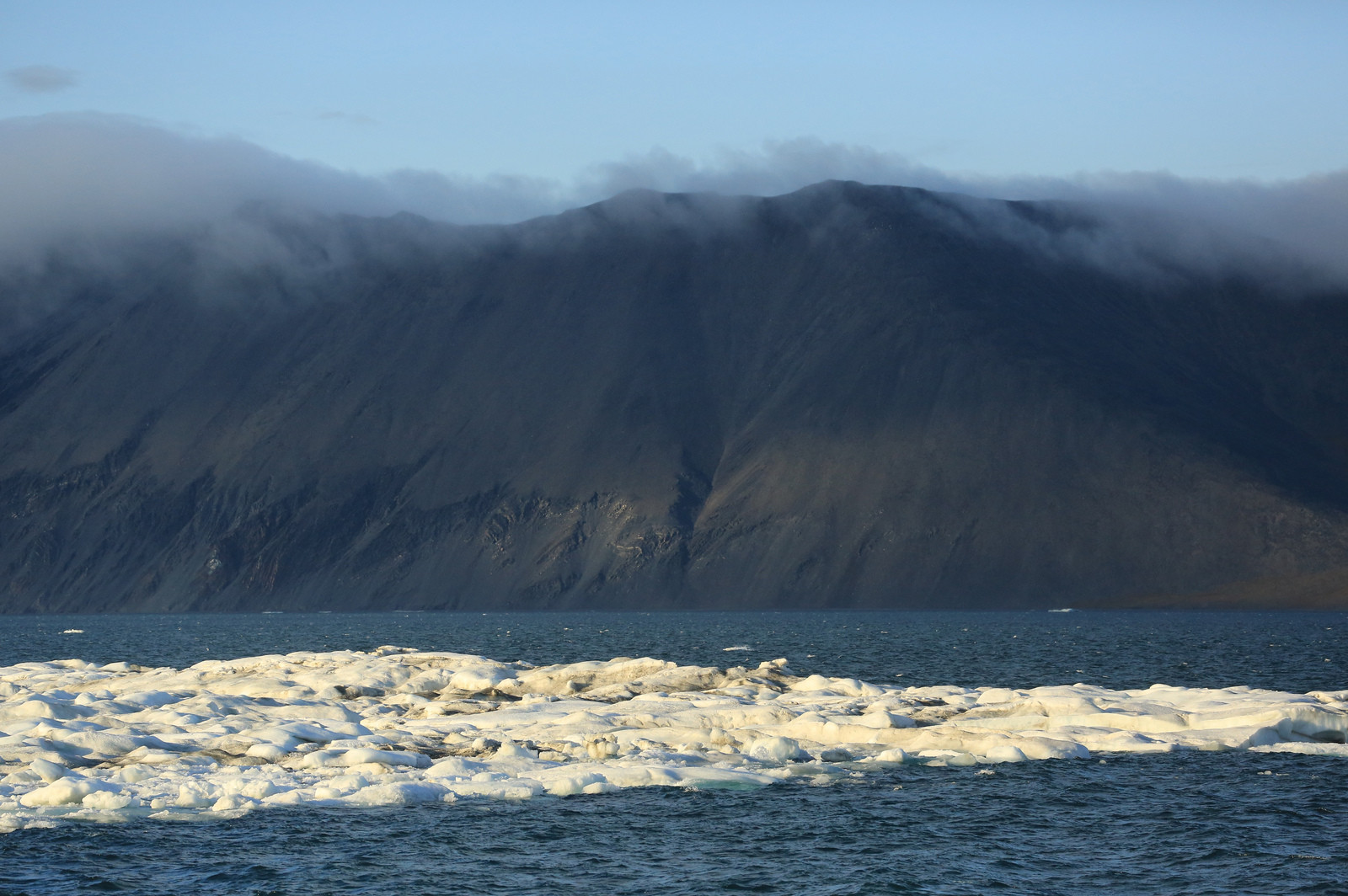 Остров Врангеля на Чукотке. Фото 3 – фотографии России