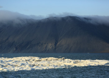 Остров Врангеля на Чукотке. Фото 3 – фотографии России