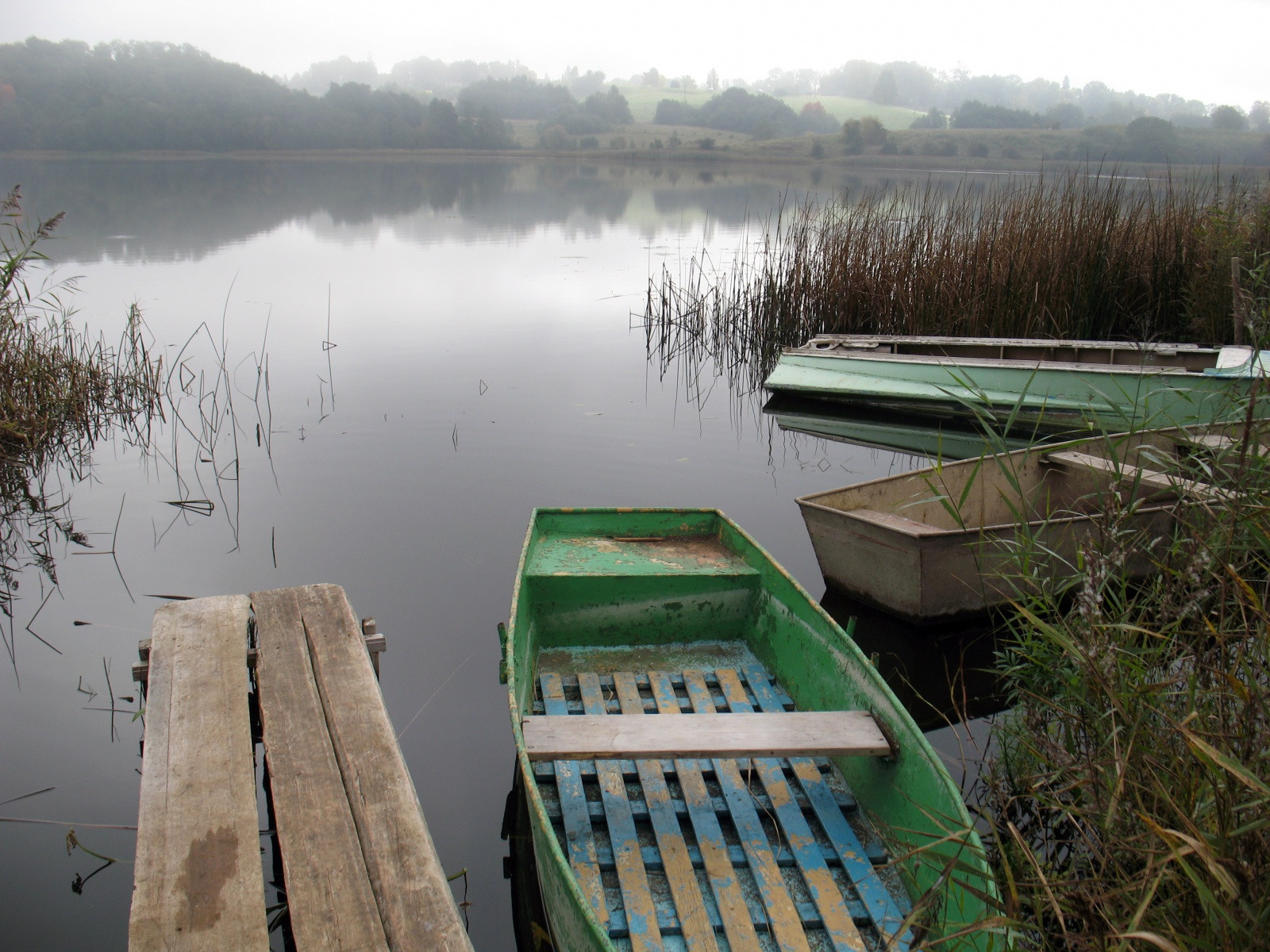 Окрестности Салдуса – фотографии Латвии