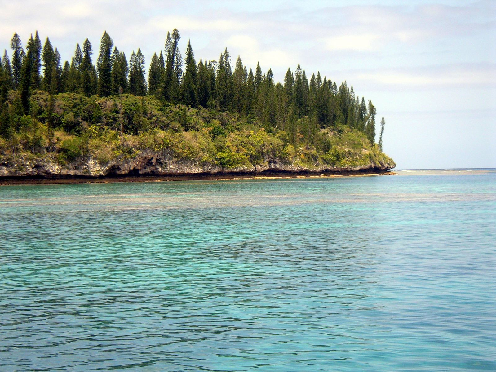 Остров Маре. Фото 1 – фотографии Новой Каледонии