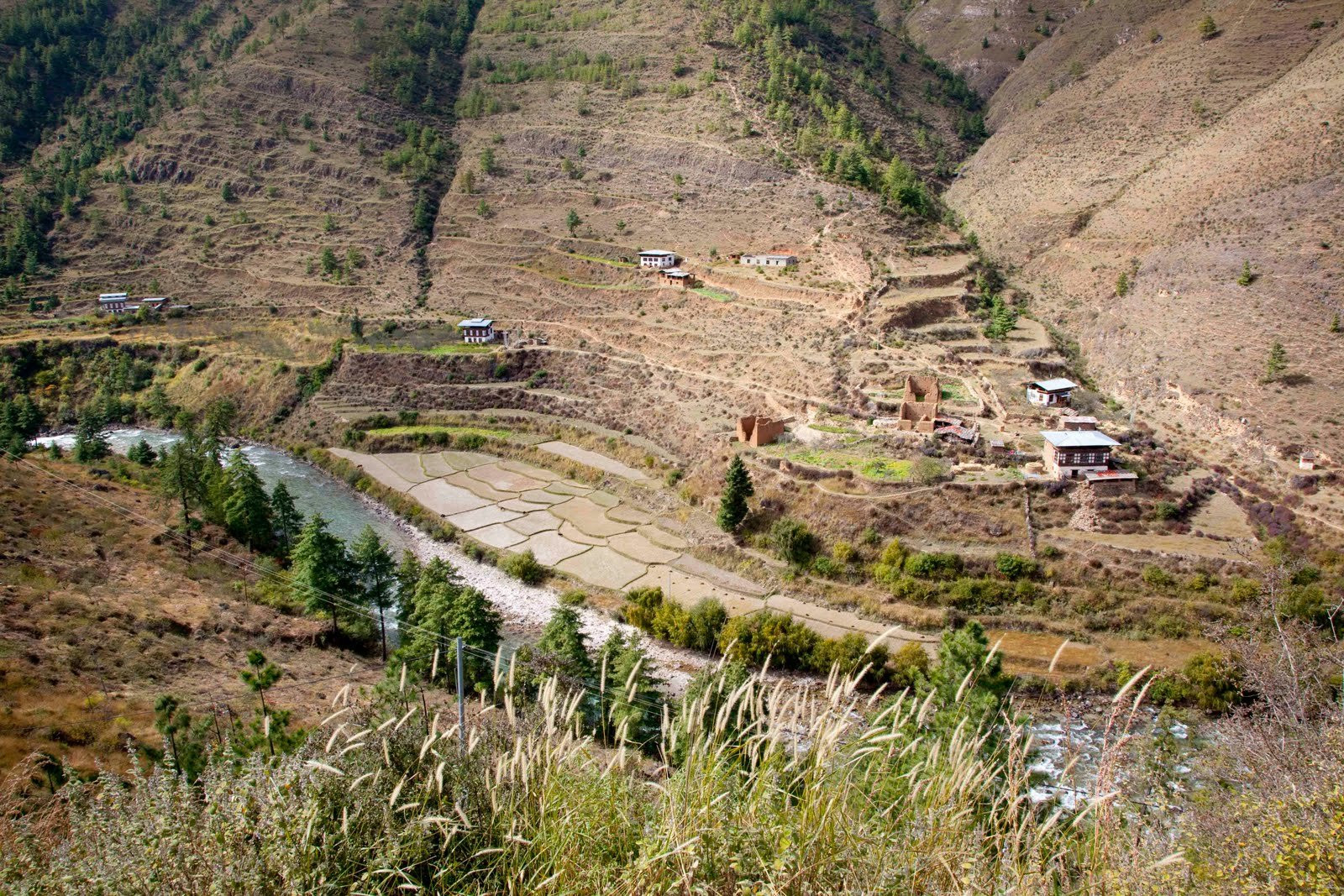 Паро, Бутан, фото № 75733 – фотографии Бутана
