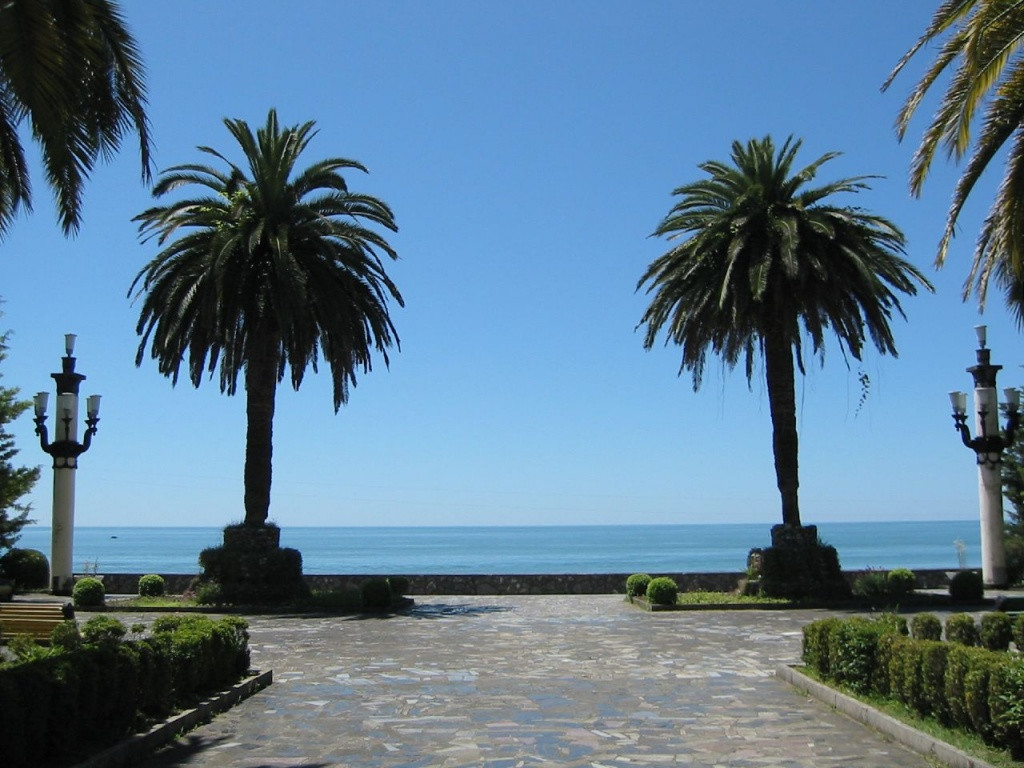 Пальмы Гагра – фотографии Абхазии