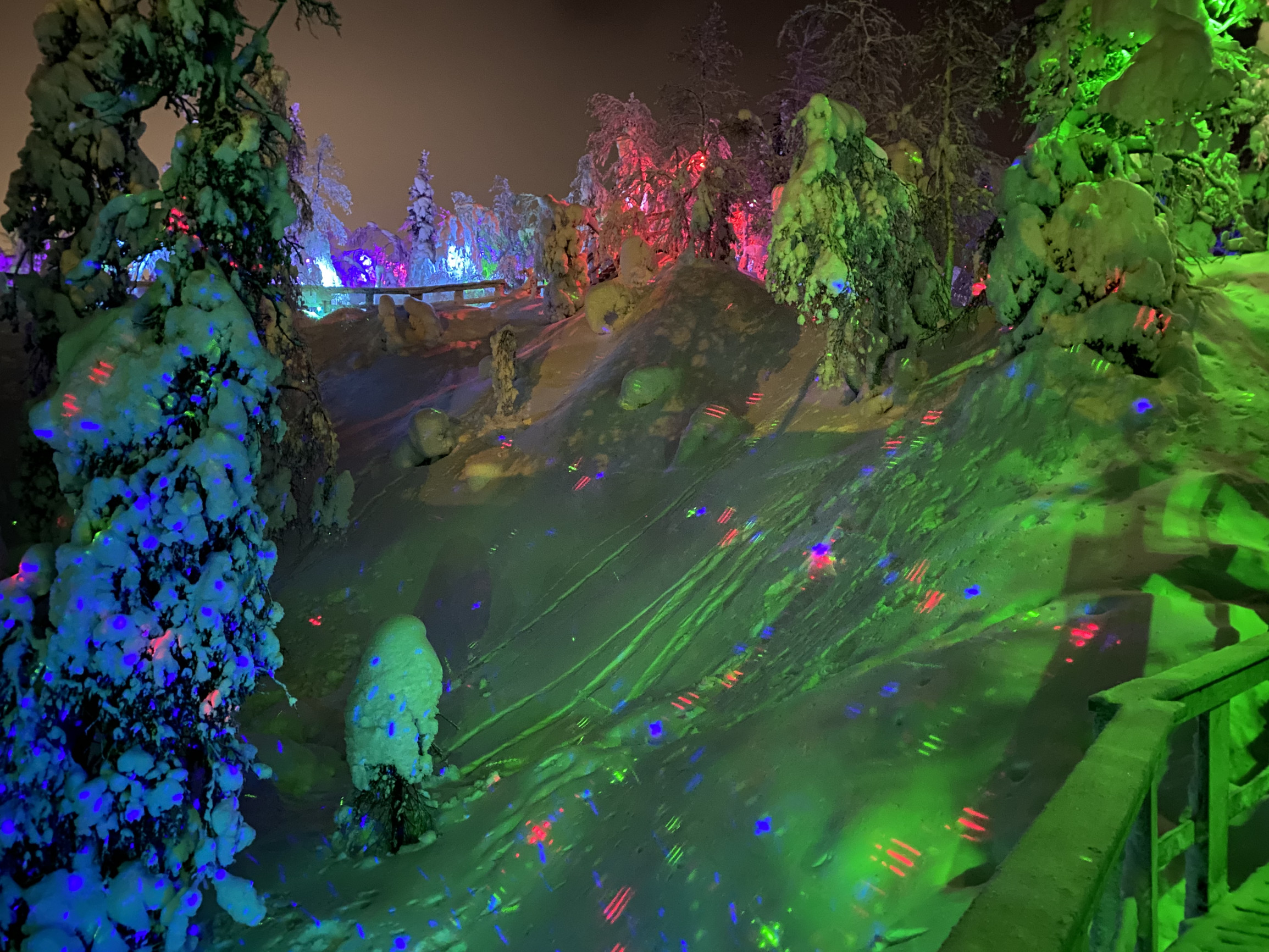 Первое что видят гости в арт-парке “Таинственный лес” в Кировск – фотографии России