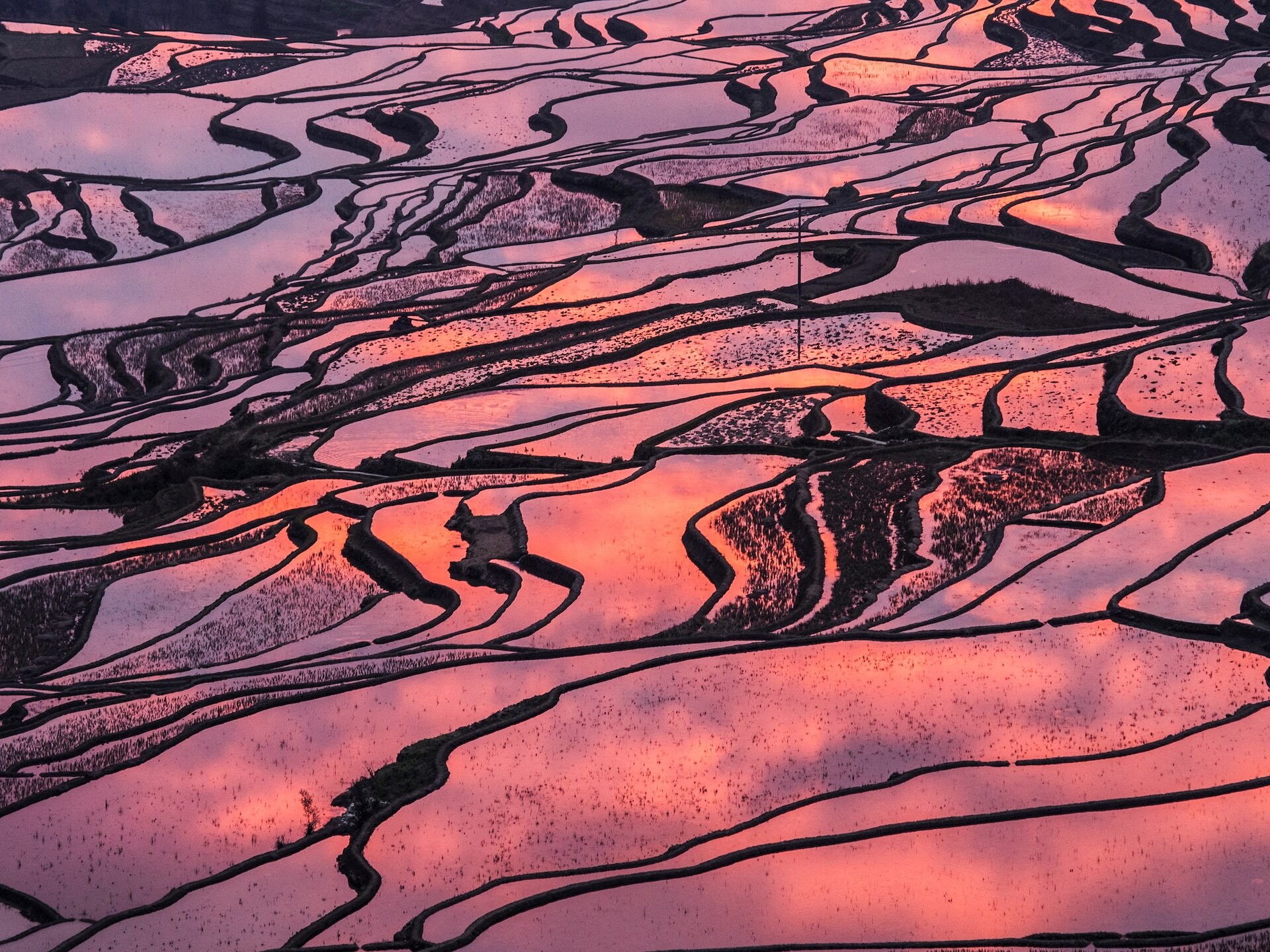 Ландшафт рисовых террас Хунхэ-Хани (Honghe Hani Rice Terraces), Китай – фотографии Китая