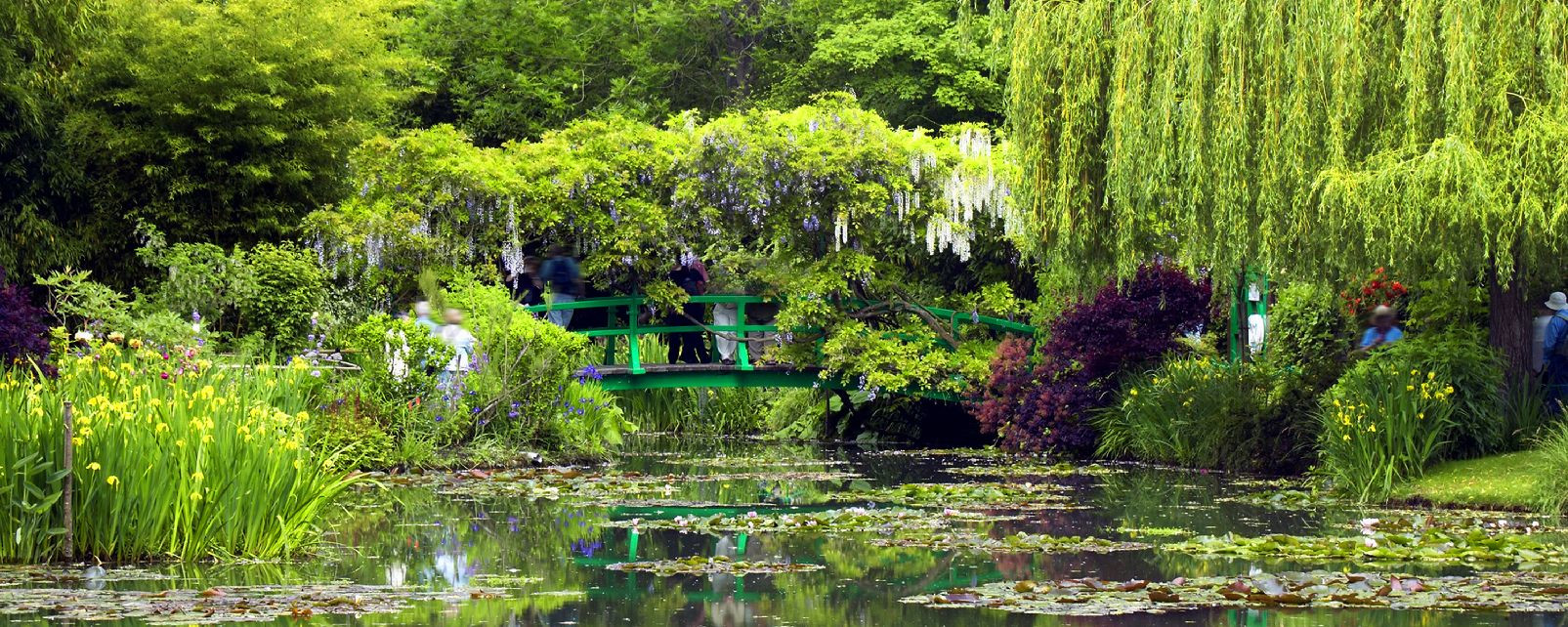 Живописный сад Клода Моне (Jardin de Claude Monet), Живерни, Франция – фотографии Франции