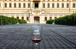 Замок Мими 6 – фотографии Молдовы