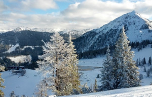 Заснеженные деревья. Вайсприах. Австрия – фотографии Австрии