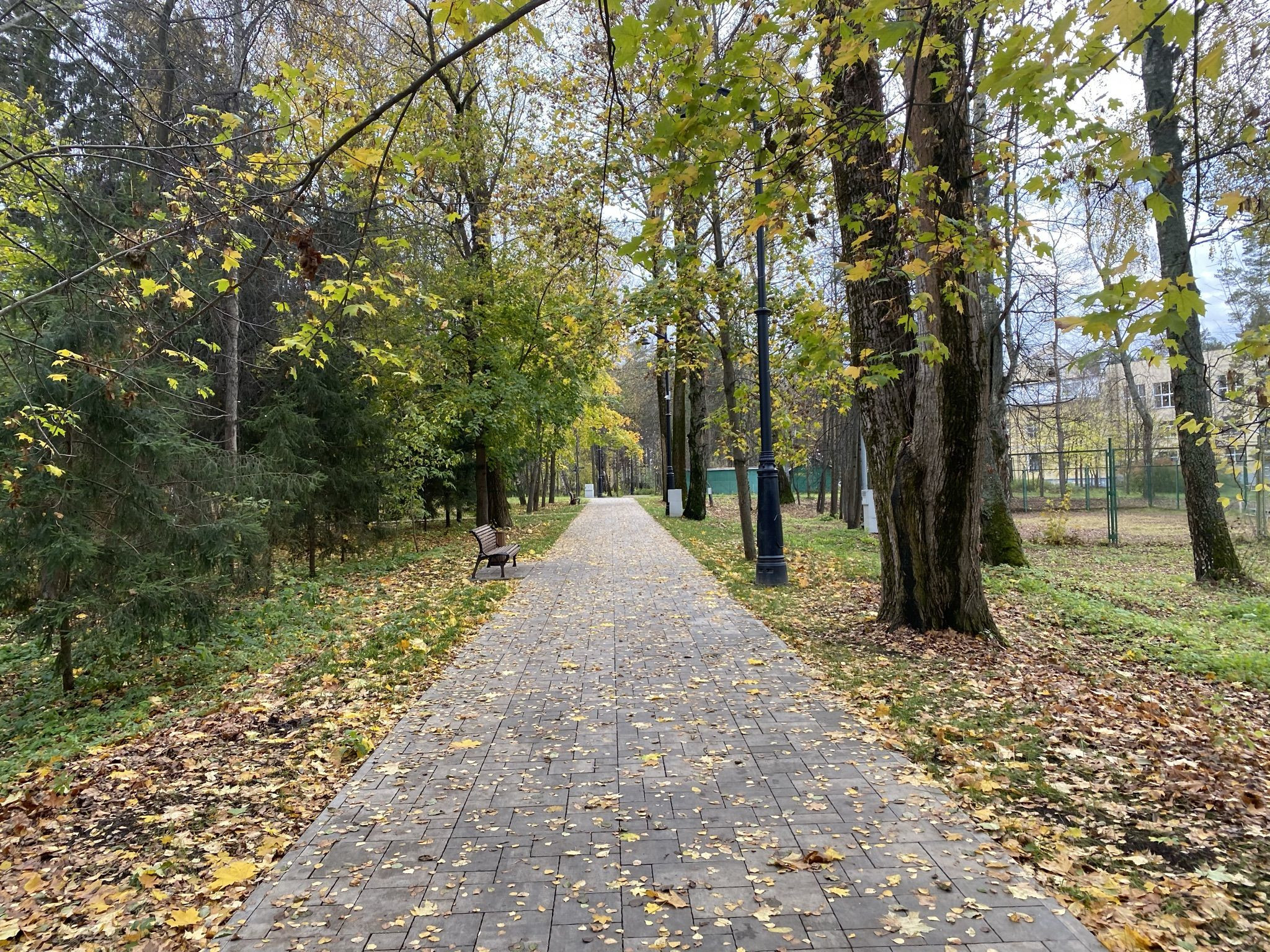 Парк у набережной Волги в Дубне – фотографии России