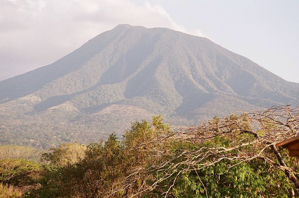 Гуанакастэ Национальный Парк, Гуанакасте провинция, Коста-Рика, фото № 39252 – фотографии Коста-Рики