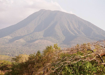 Гуанакастэ Национальный Парк, Гуанакасте провинция, Коста-Рика, фото № 39252 – фотографии Коста-Рики