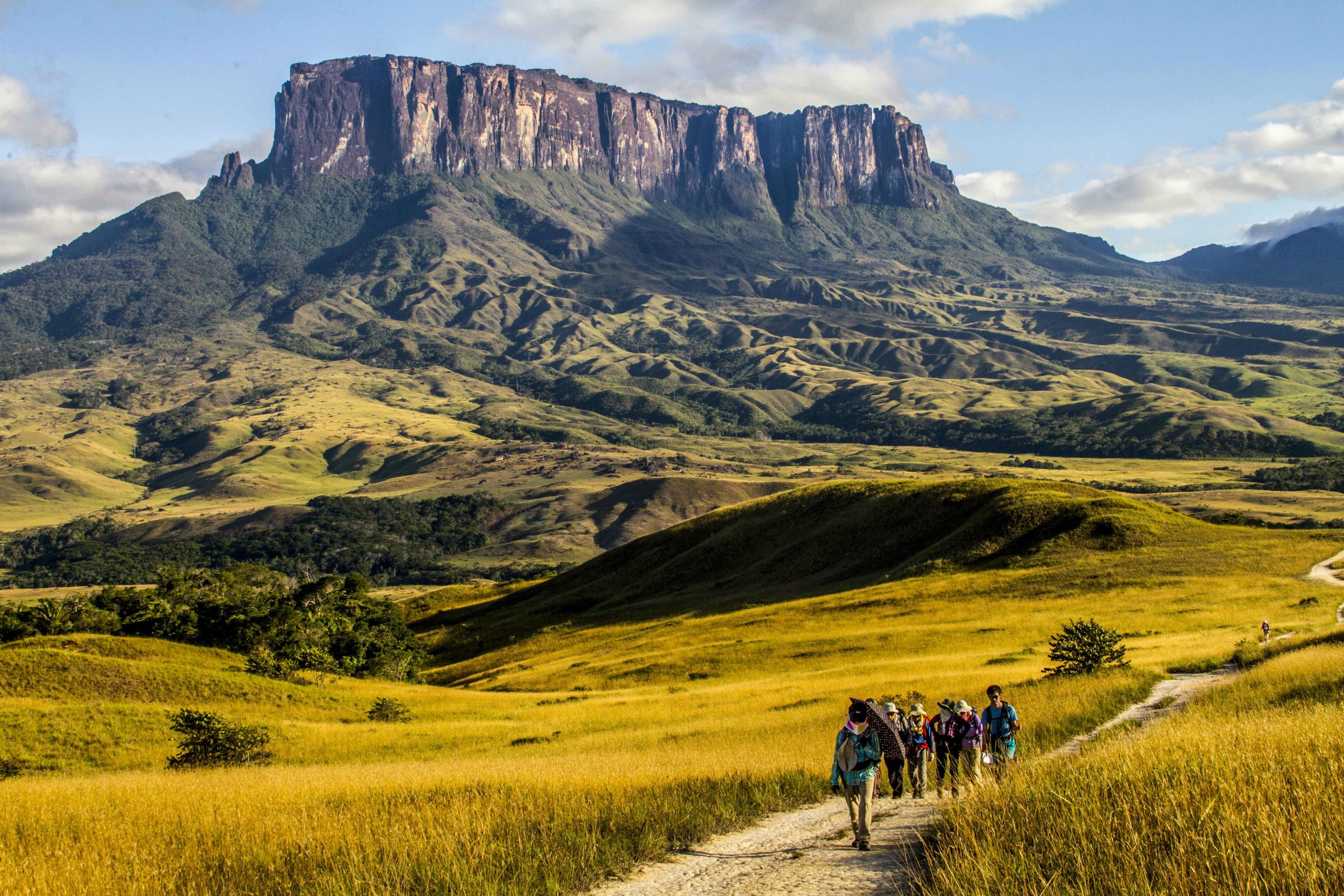 Затерянный мир горы Рорайма (Tepuy Roraima), Боливар, Венесуэла – фотографии Венесуэлы