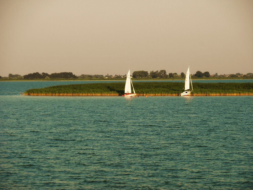Парусники. Нойзидлерзе-Зевинкель — национальный парк. Австрия – фотографии Австрии