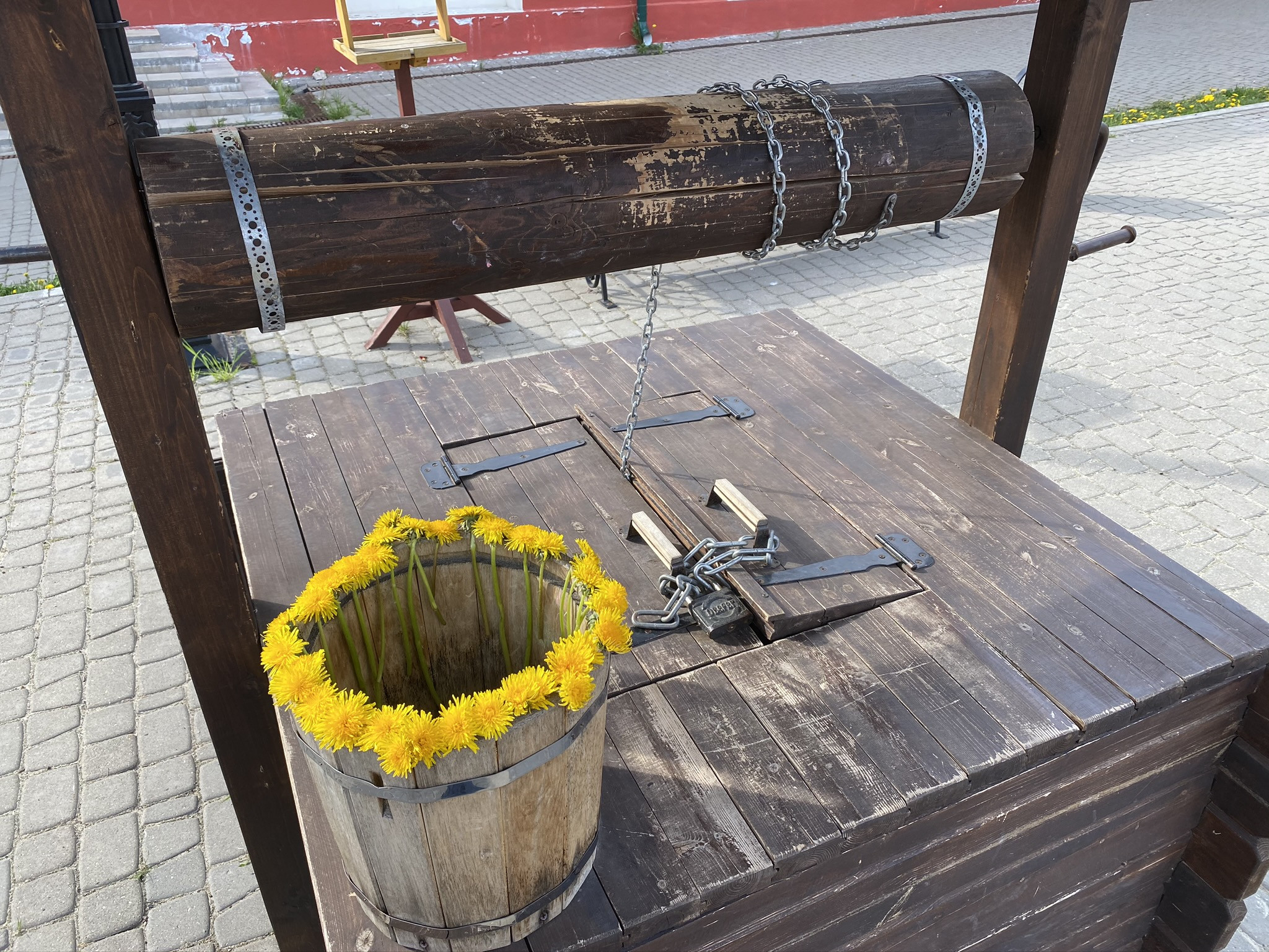 Ведерко с одуванчиками, Гостиные Ряды, Калуга – фотографии России