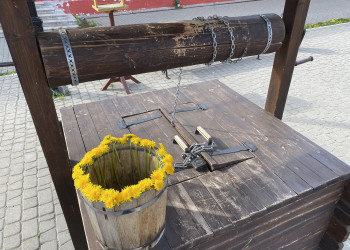 Ведерко с одуванчиками, Гостиные Ряды, Калуга – фотографии России