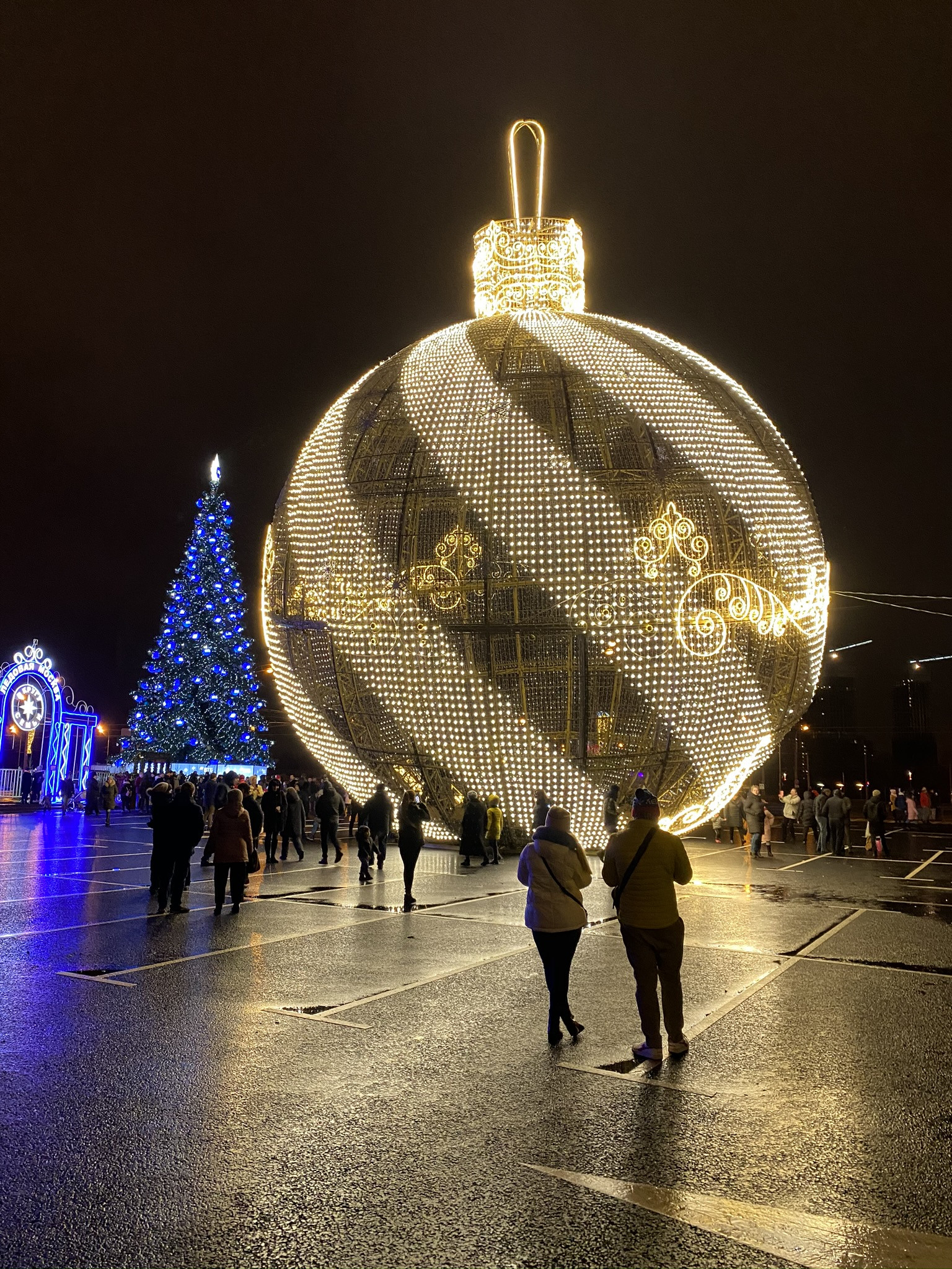 Новогодний московский Парк Победы – фотографии России
