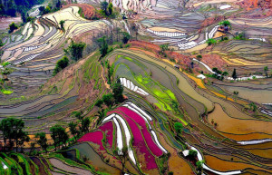 Рисовые террасы Хунхэ-Хани 11 – фотографии Китая