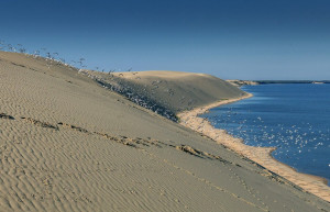 Куршская коса 10 – фотографии России