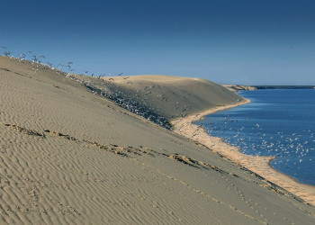 Куршская коса 10 – фотографии России