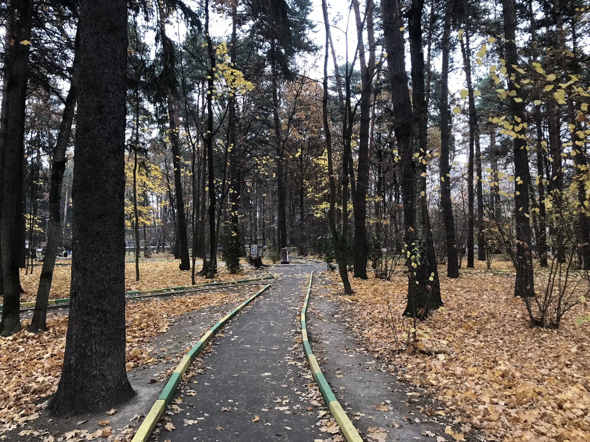 Осенний Обнинск – фотографии России