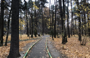 Осенний Обнинск – фотографии России