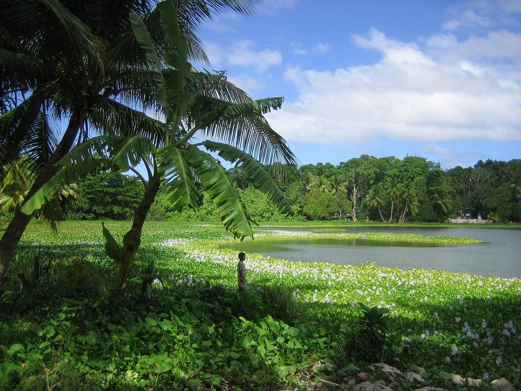 Зеленая побережье. Остров Науру – фотографии Науру