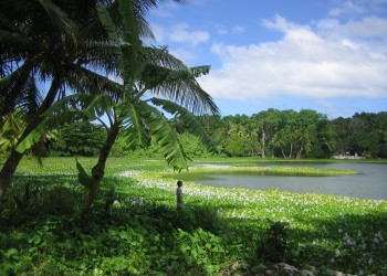 Зеленая побережье. Остров Науру – фотографии Науру