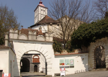 Замок Шаллабург – фотографии Австрии