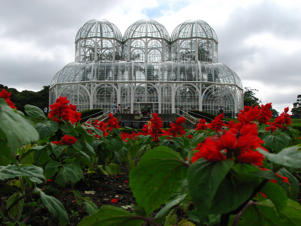 Ботанический сад в городе Куритиба – фотографии Бразилии