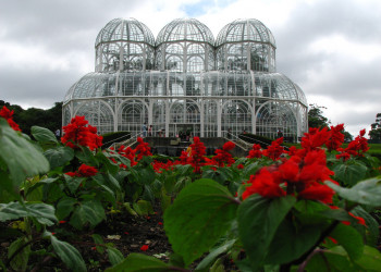 Ботанический сад в городе Куритиба – фотографии Бразилии
