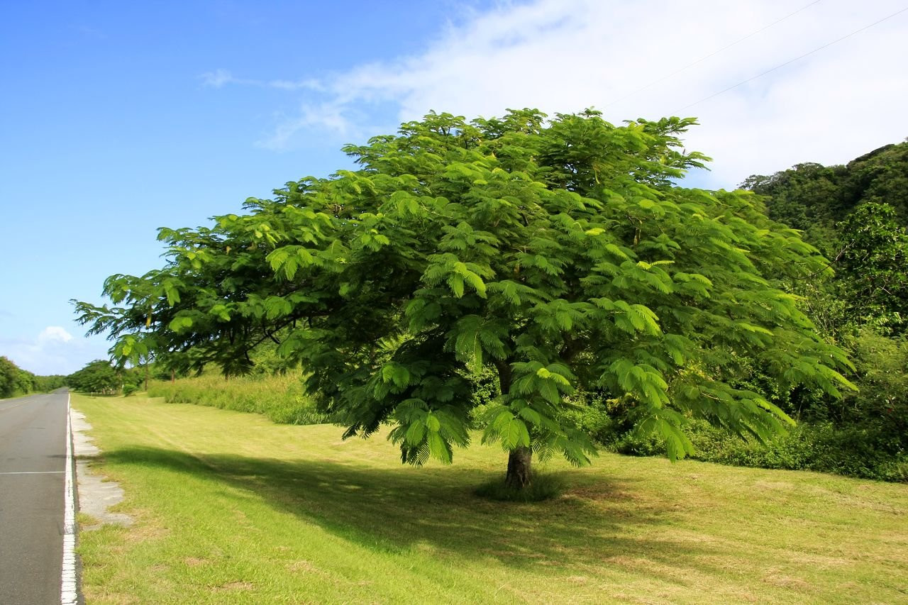 Сайпан остров, Северные Марианские острова, фото № 73177 – фотографии Северных Марианских островов