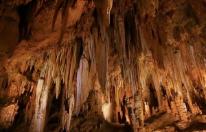 Великий сталактитовый орган в Лурейских пещерах, Вирджиния, США – фотографии США