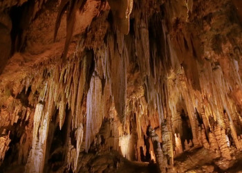 Великий сталактитовый орган в Лурейских пещерах, Вирджиния, США – фотографии США