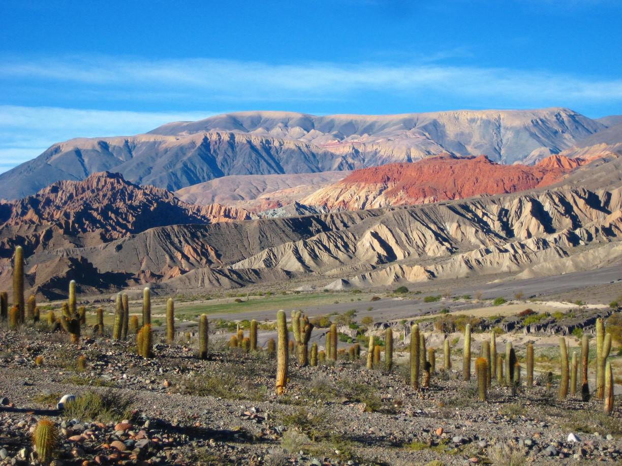 Горы и кактуса. Санта Роса. Аргентина. – фотографии Аргентины