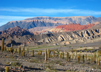 Горы и кактуса. Санта Роса. Аргентина. – фотографии Аргентины