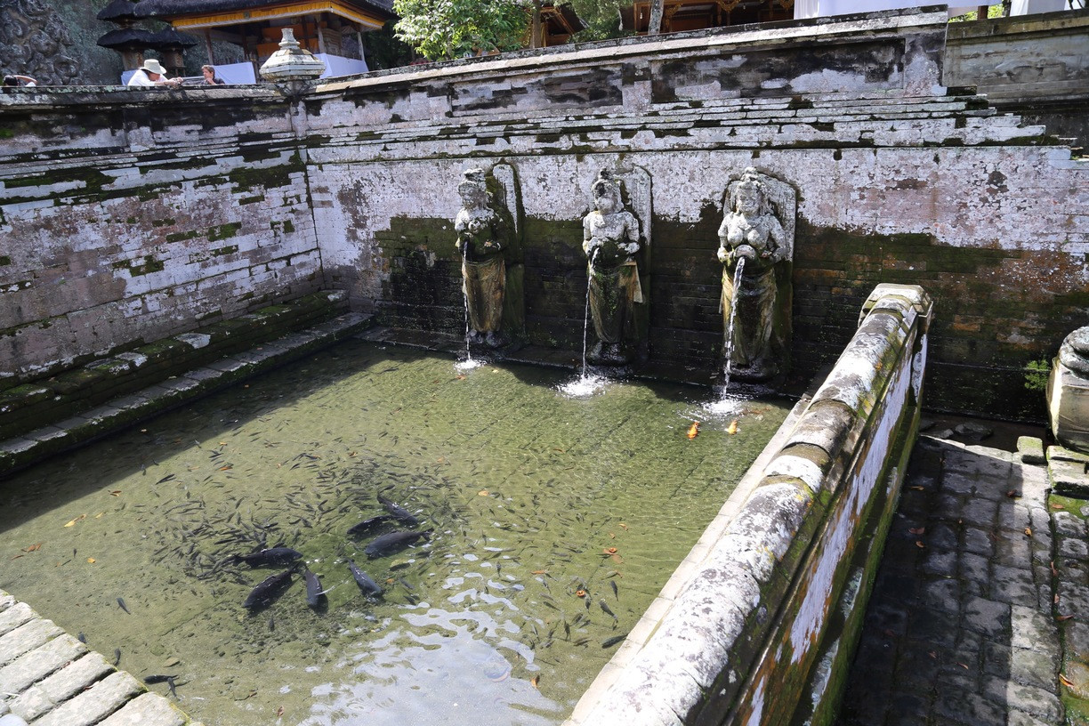 Слоновая пещера Гоа Гаджа, Бали, Индонезия – фотографии Индонезии