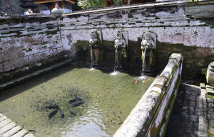 Слоновая пещера Гоа Гаджа, Бали, Индонезия – фотографии Индонезии