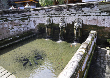 Слоновая пещера Гоа Гаджа, Бали, Индонезия – фотографии Индонезии