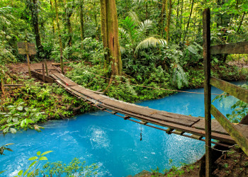 Тропа Сендеро-де-лос-Кетцалес в окрестностях вулкана Бару в Панаме – фотографии Панамы